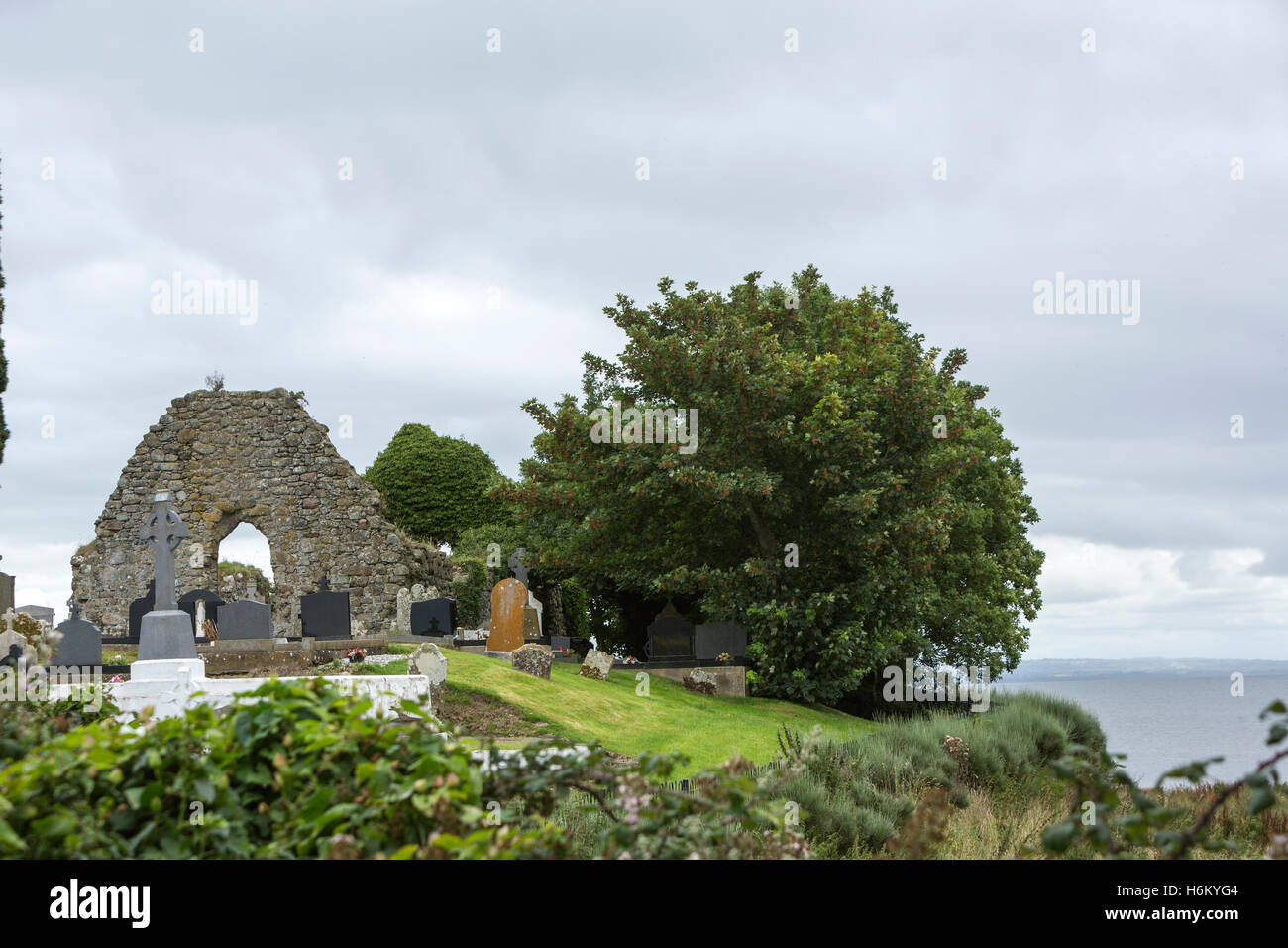 Ardboe High Cross, Ardboe, Grafschaft Tyrone, Nordirland, Vereinigtes Königreich Stockfoto