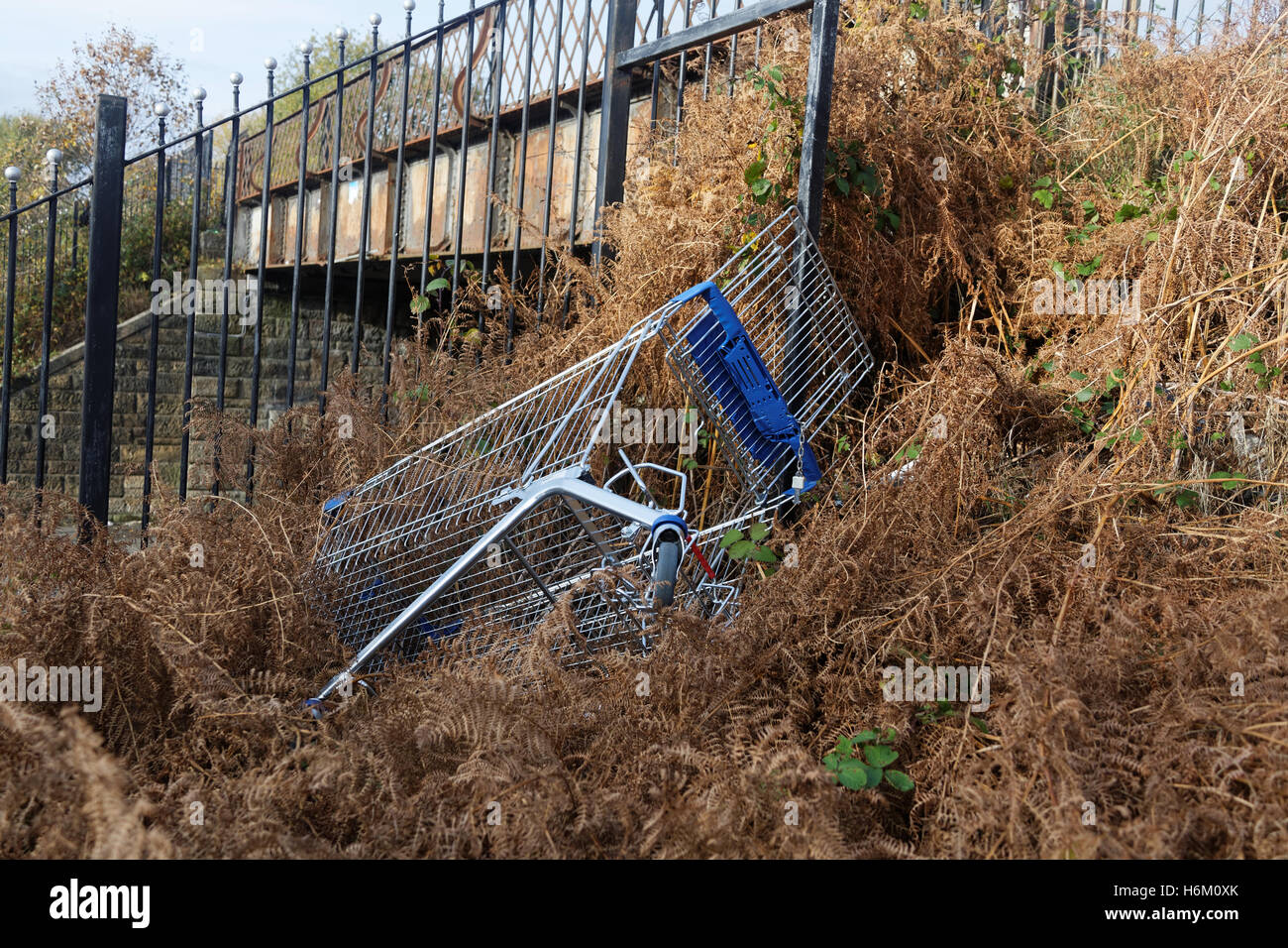 Verworfen, gestohlenen oder verlorenen Einkaufswagen drolly Supermarkt Korb in grasbewachsenen Hügel Stockfoto