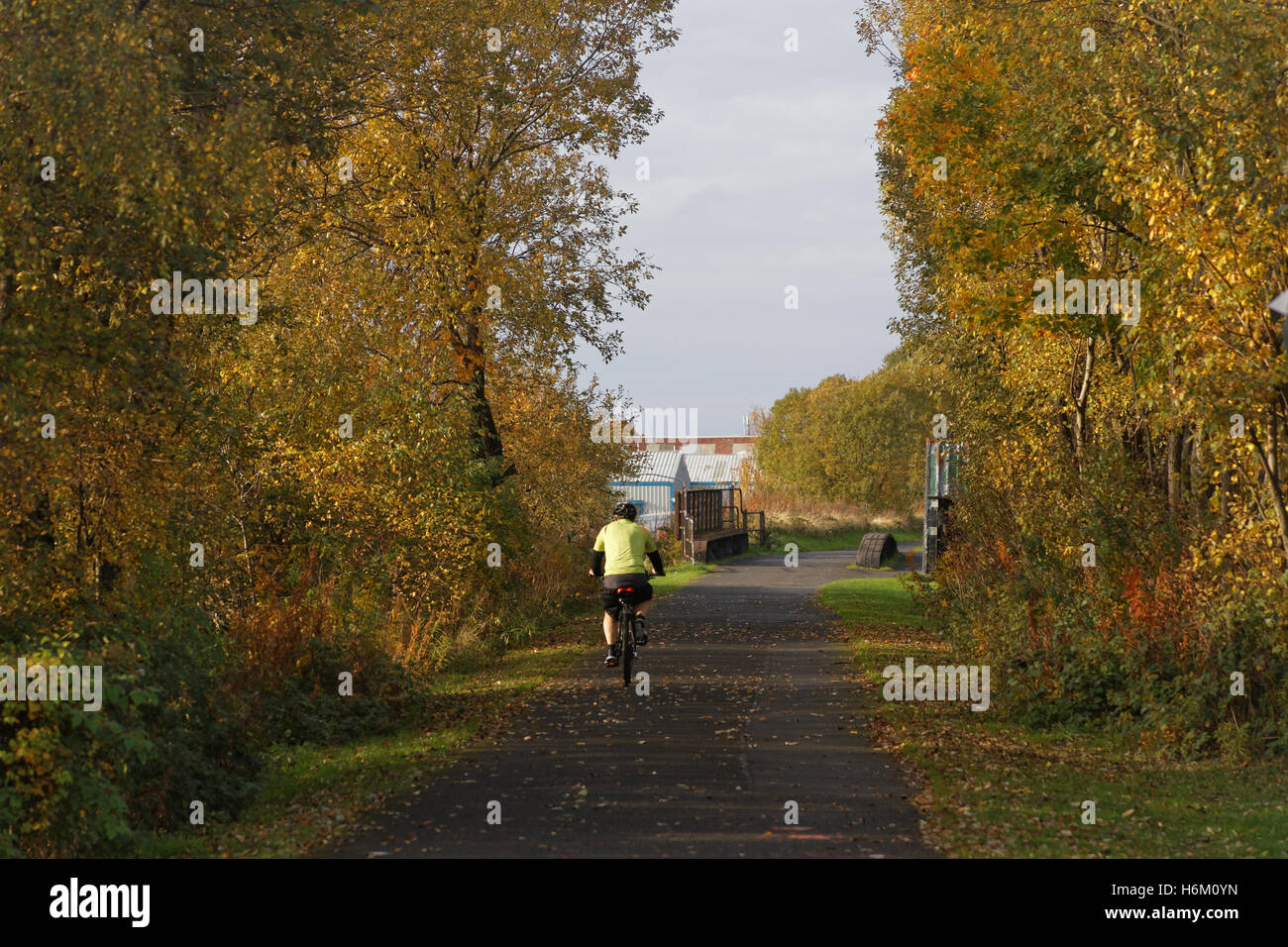 Radfahrer auf Fahrrad Forth und Clyde Canal, Glasgow herbstliche Bäume Stockfoto Radfahrer auf Fahrrad Forth und Clyde Canal, Glasgow herbstliche Bäume Stockfoto