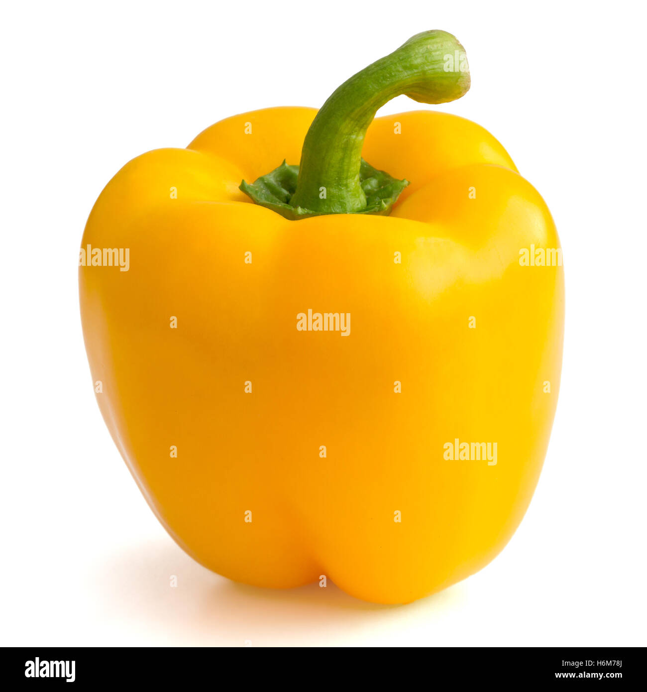 Einzelne gelbe Paprika isoliert auf weiss. Stockfoto