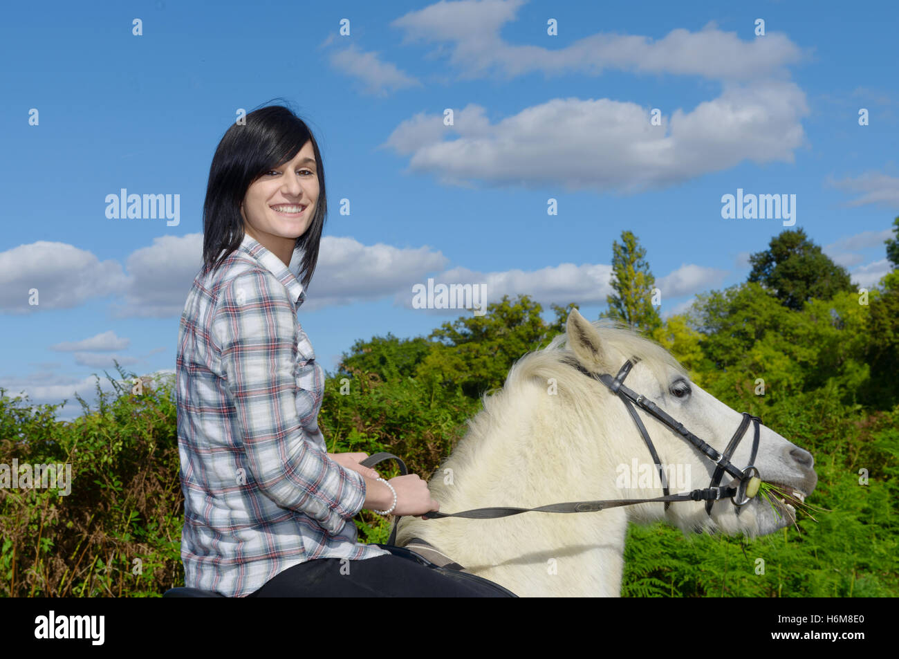 junge schöne Brünette Frau White Reitpferd Stockfoto