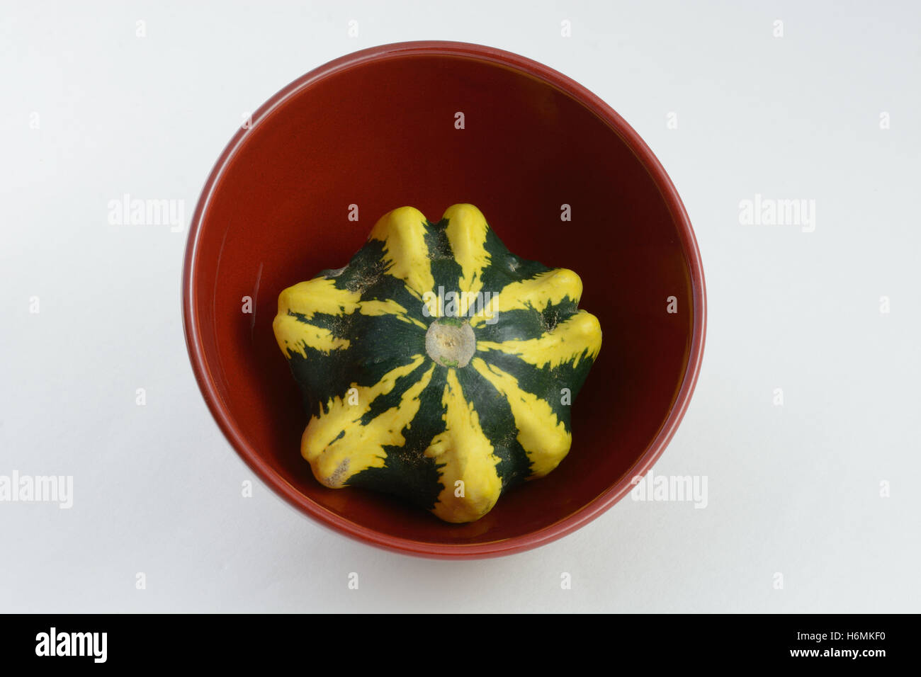 Kürbis in roten Schüssel als Herbst Halloween oder Thanksgiving Dekoration Stockfoto