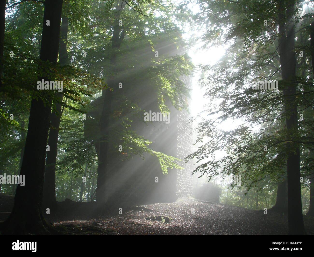 altes Schloss wulflingen Stockfoto