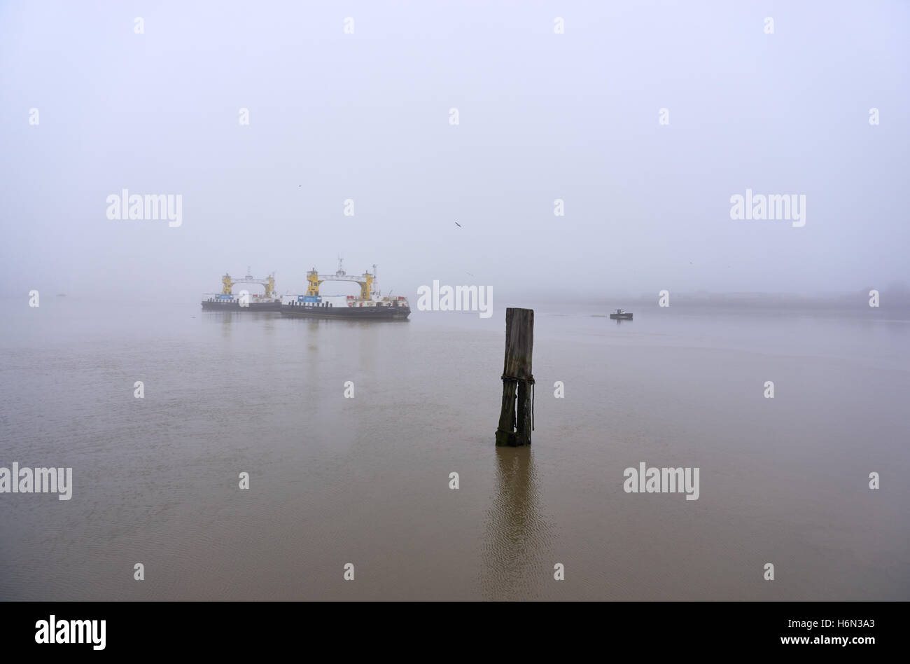 Zwei Schiffe der Woolwich Fähre, ein kleines Boot und Vögel im Herbst Nebel über der Themse - Blick nach Norden von der Uferweg Stockfoto