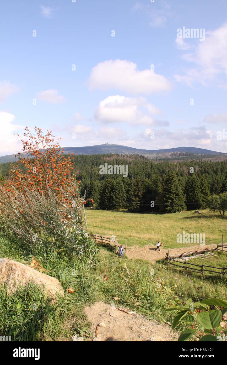 schöne natürliche Landschaft im harz Stockfoto