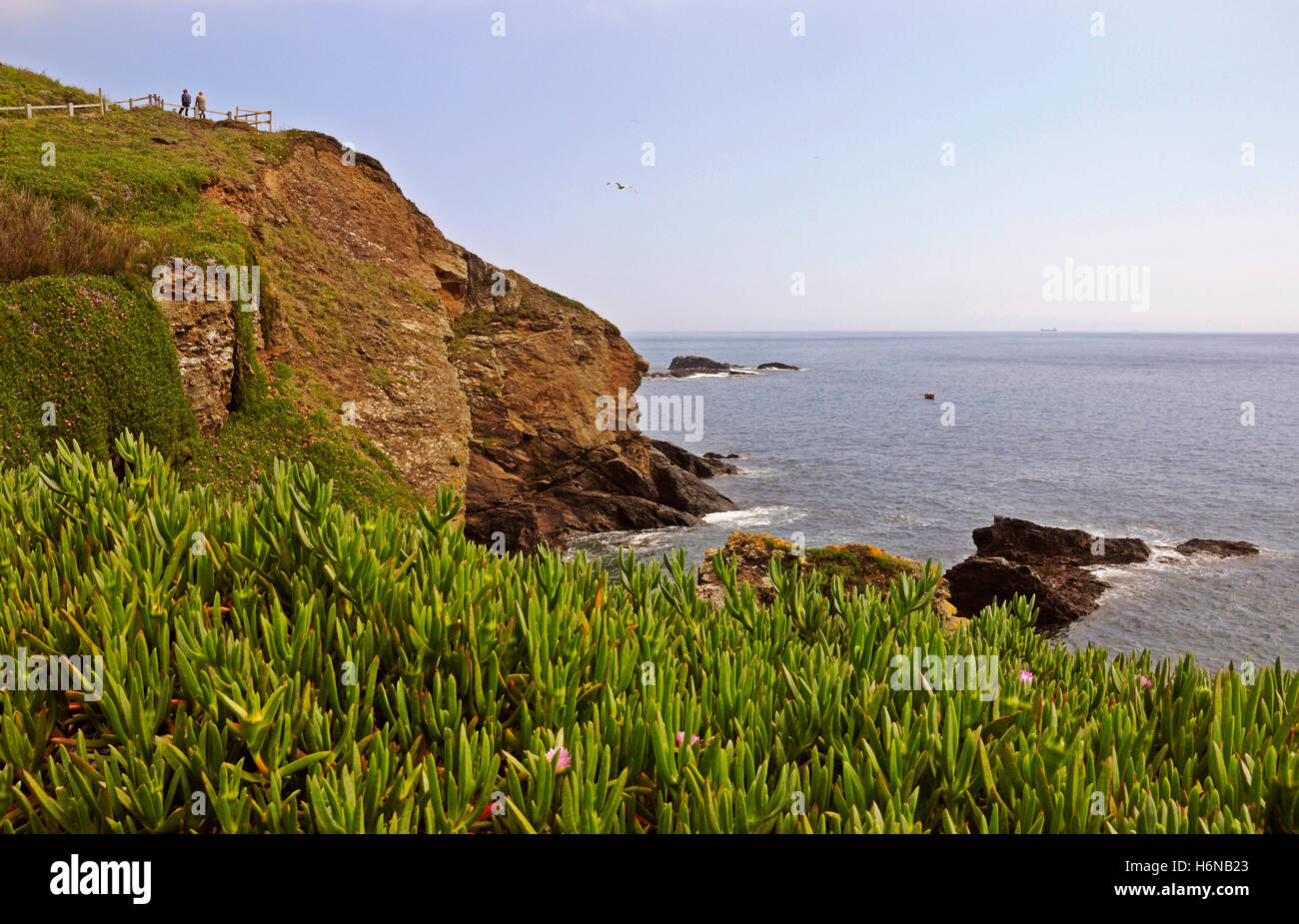 Küste Cornwalls am Lizard point Stockfoto