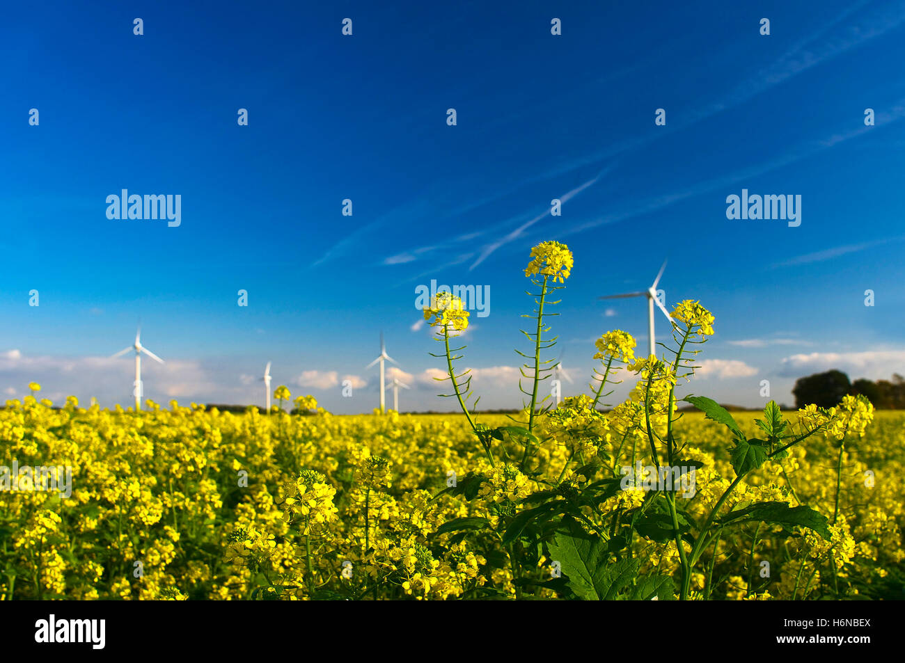 regenerative Energie Stockfoto