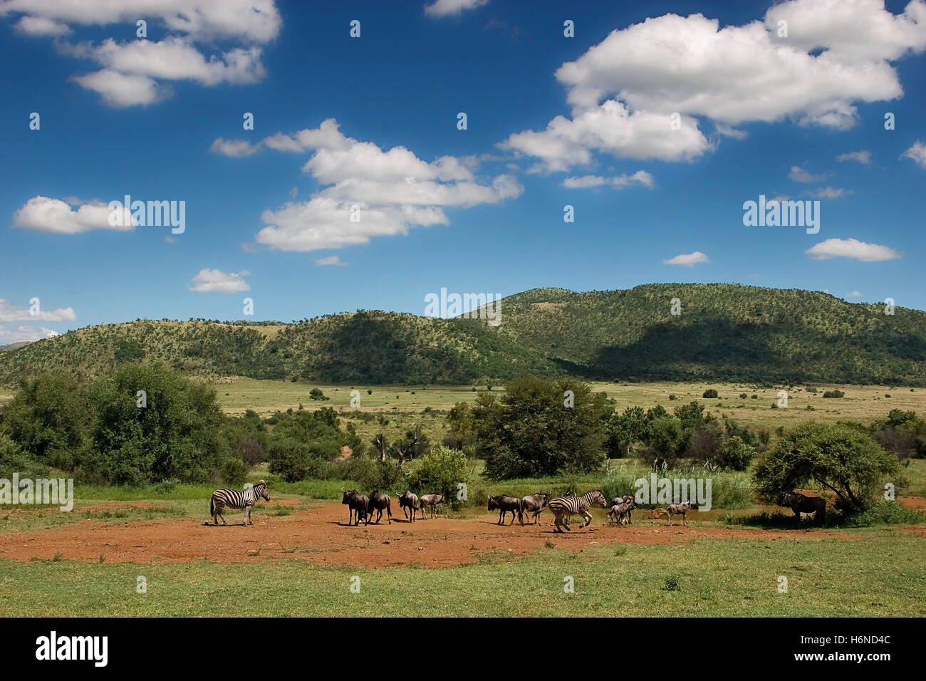 Landschaften Stockfoto