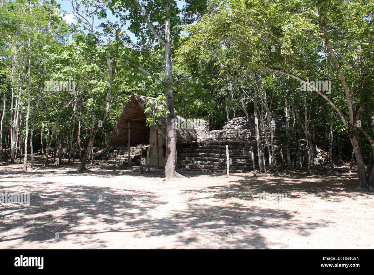 Coba Maya-Ruinen Stockfoto