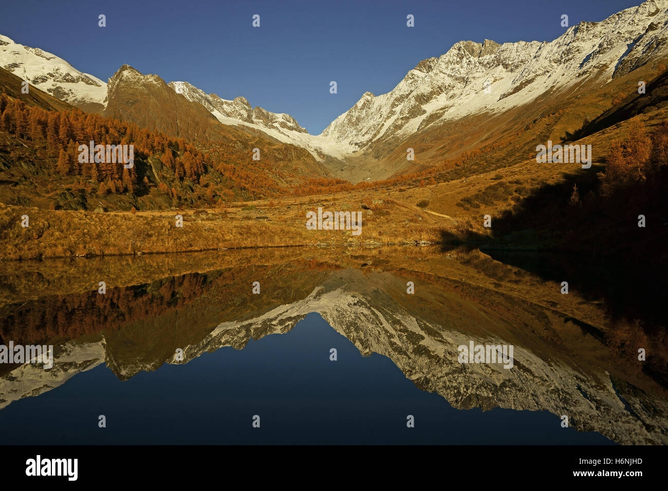 Fafleralp See in Lötschenl, Herbstfarben. Lang-Gletscher und Lötschenlücke, BValais, Schweizer Alpen, Schweiz Stockfoto
