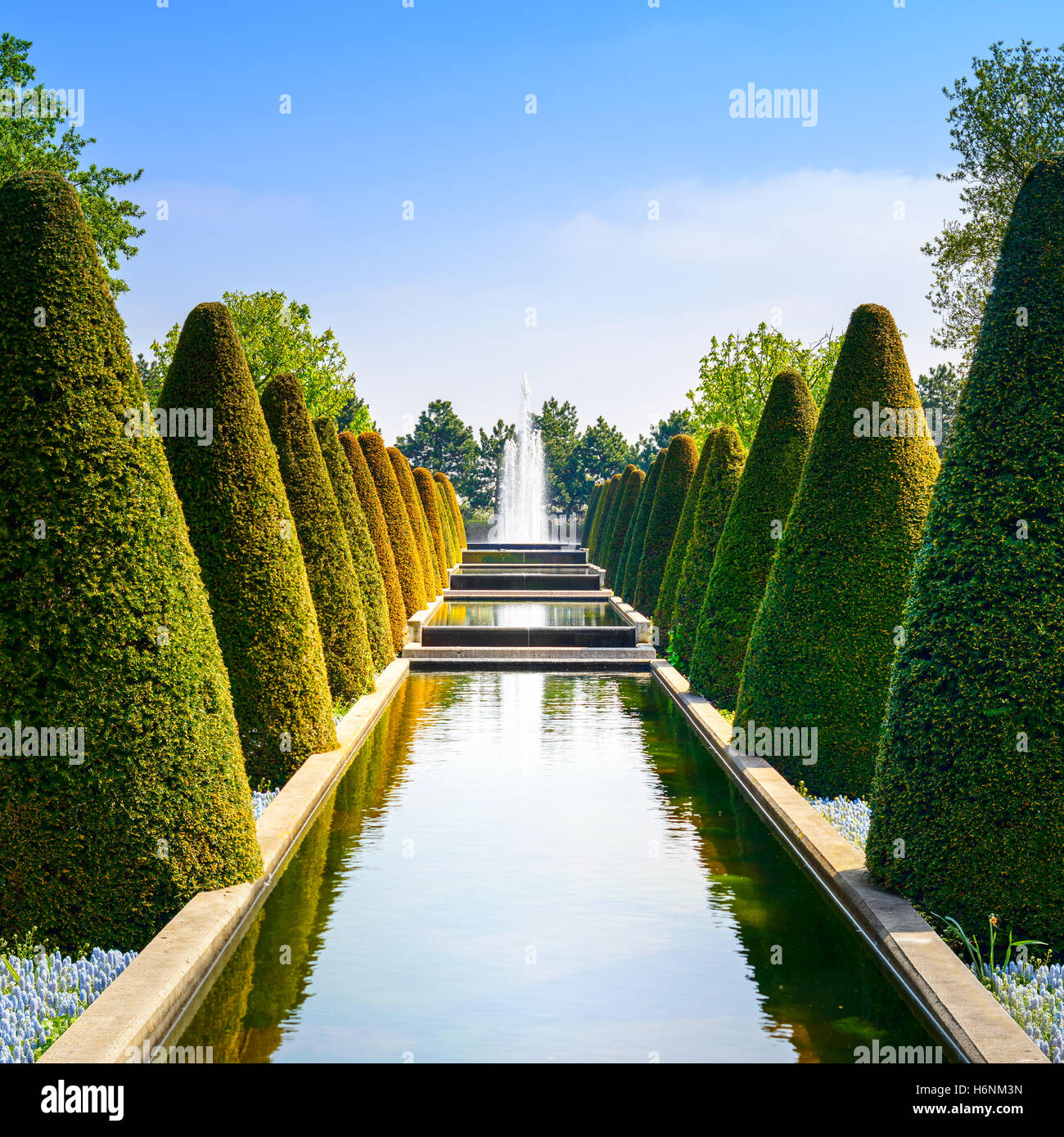 Garten im Keukenhof, konische Hecken Linien, Wasserbecken und Springbrunnen. Niederlande, Europa. Stockfoto