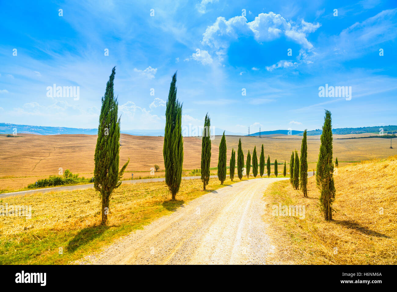 Zypressen-Zeilen und eine weiße Straße ländlichen Landschaft im Val d Orcia Land in der Nähe von Siena, Toskana, Italien, Europa. Stockfoto