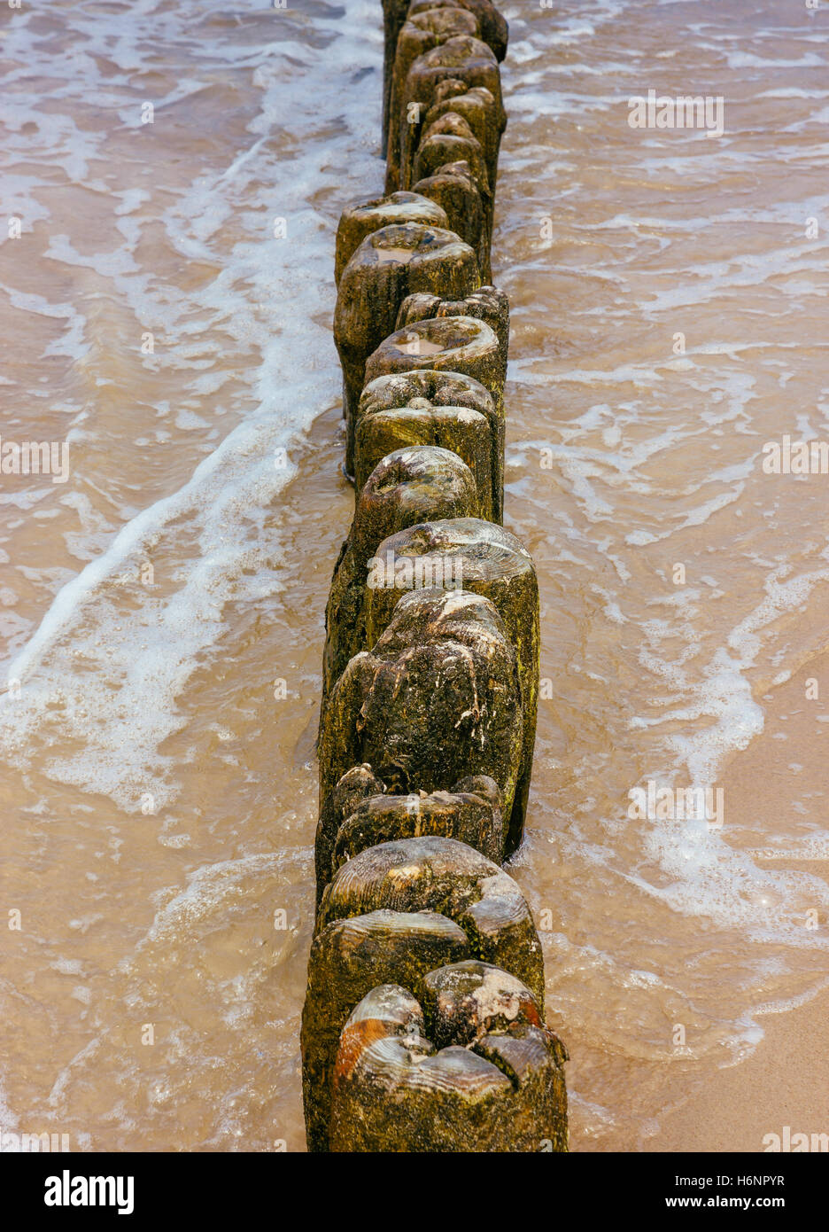 Die Pole einer hölzernen Wellenbrecher-Konstruktion im Meer. Stockfoto