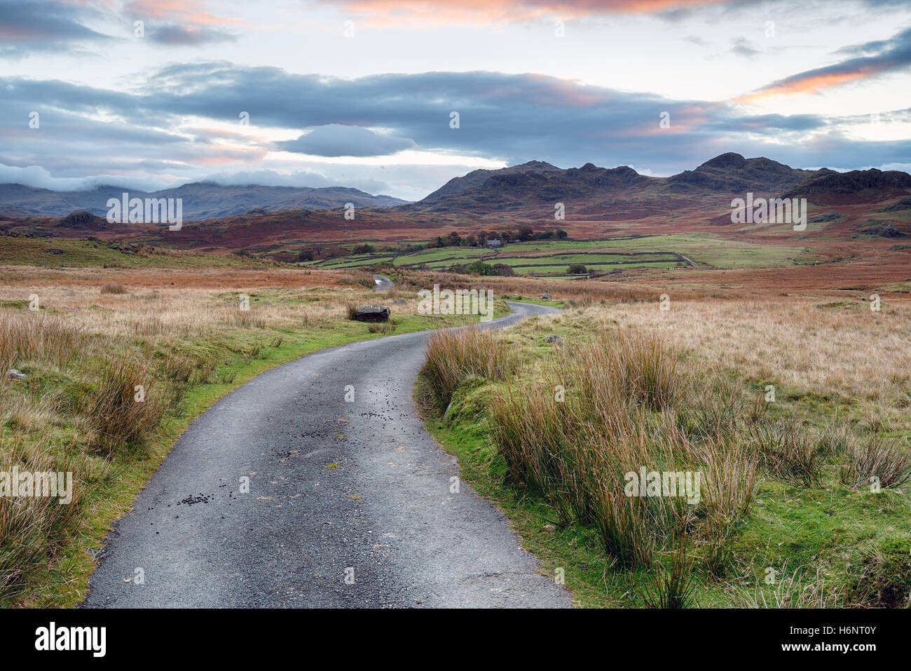 Eine Landstraße führt in die Berge auf Birker fiel und mit Blick auf die Narbe Crag und Silber wie im Lake District Nationa Stockfoto