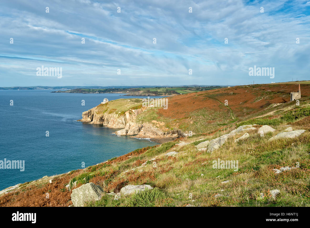 Die Klippen von Rinsey Kopf in der Nähe von Porthleven an der Küste von Cornwall Stockfoto