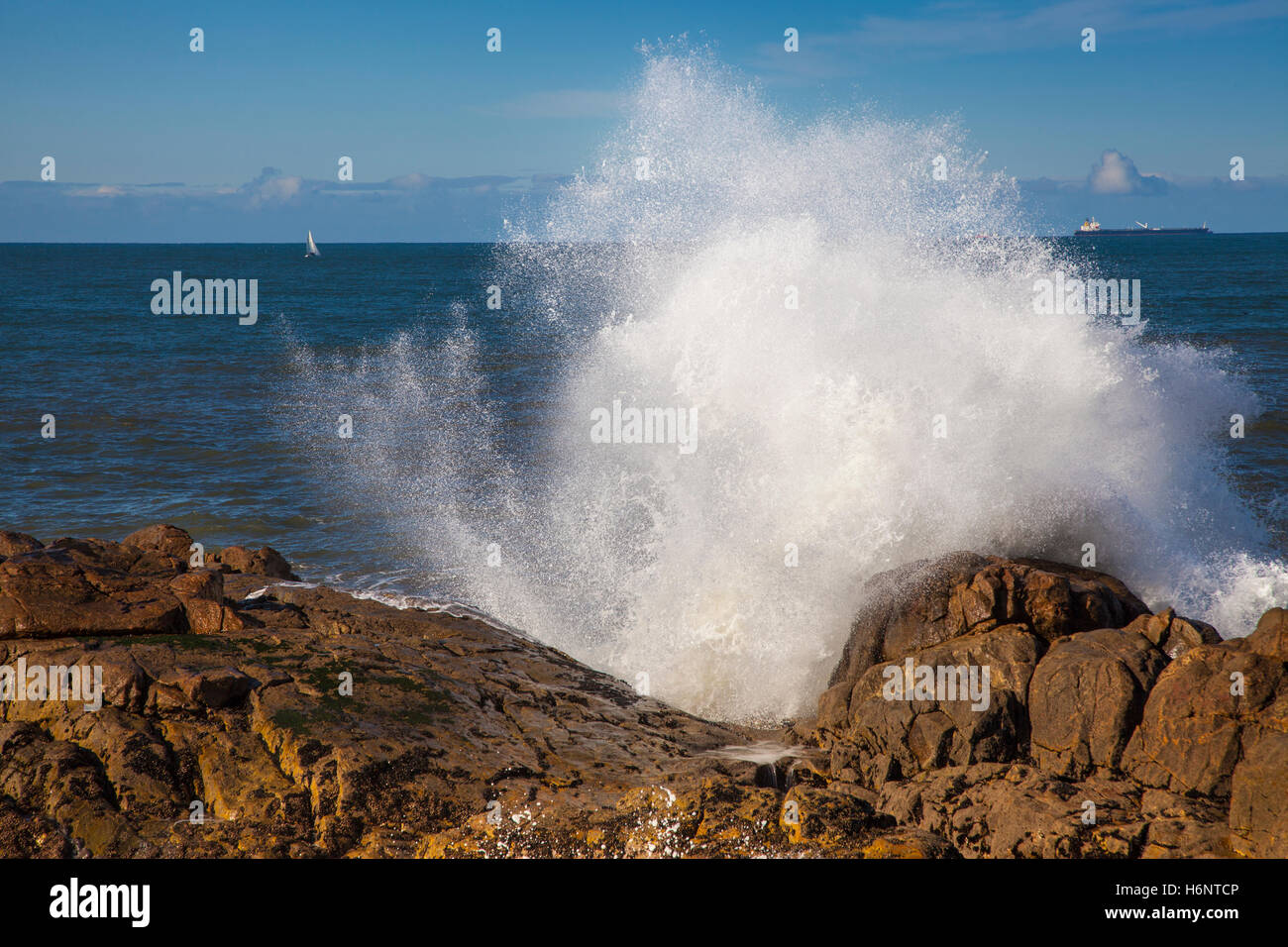Wellen an der Atlantikküste in Porto, Portugal Stockfoto