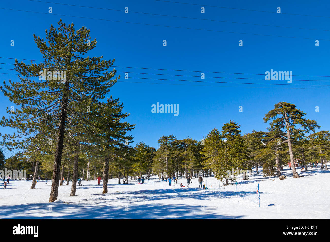 Malerischen Winterlandschaft mit Schnee und blauer Himmel im Troodos-Gebirge auf Zypern Stockfoto