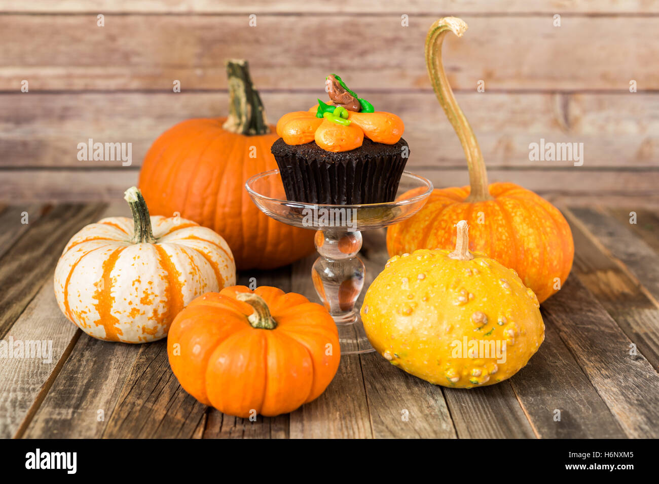 Kürbis Kuchen mit Herbst Kürbisse Stockfoto