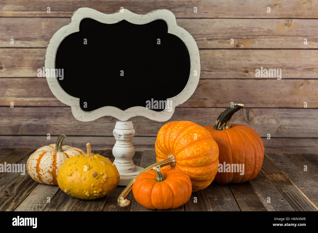Dekorative Kürbis mit einem Tafel-Schild Stockfoto