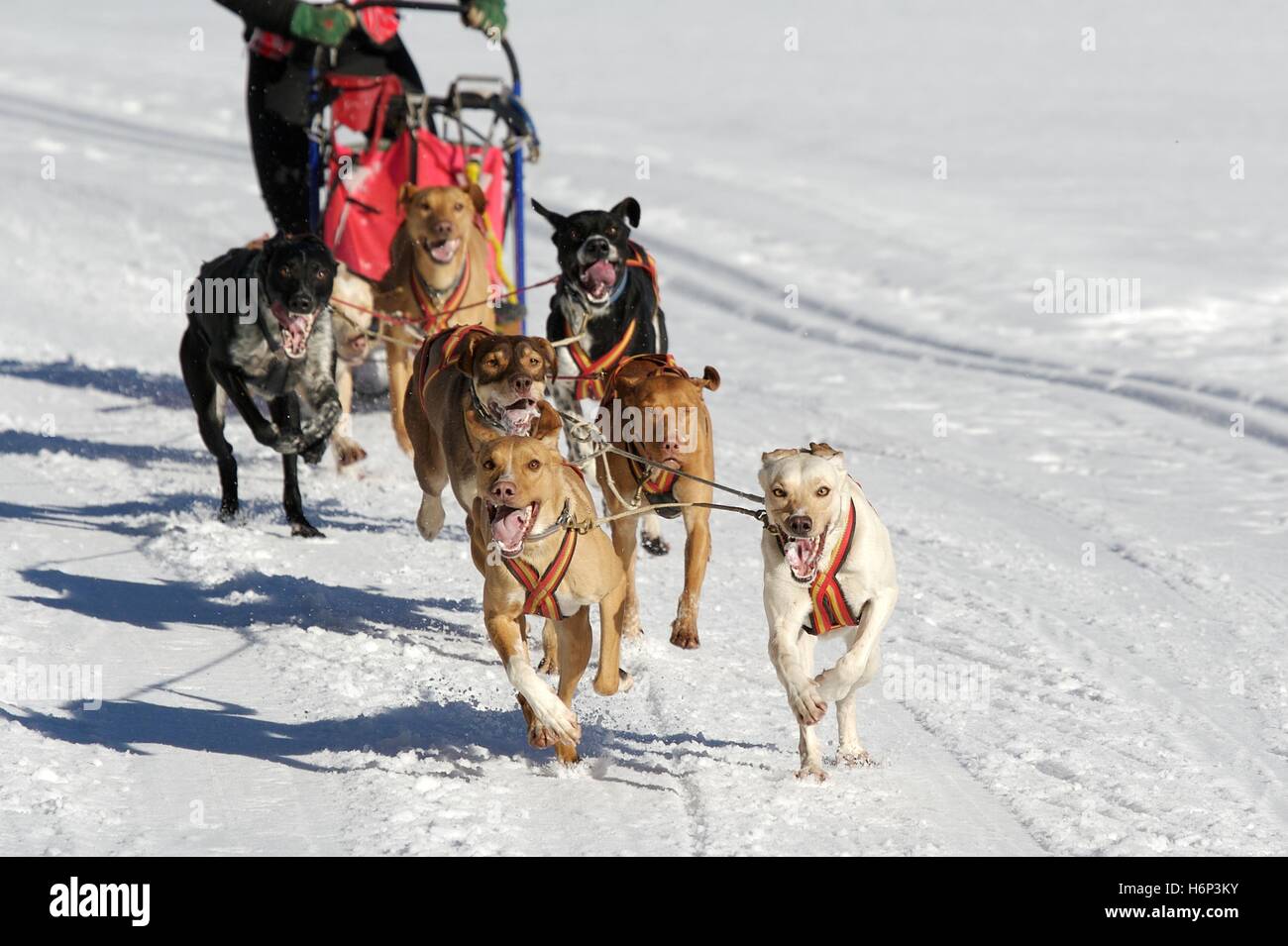 Wintersport Stockfoto