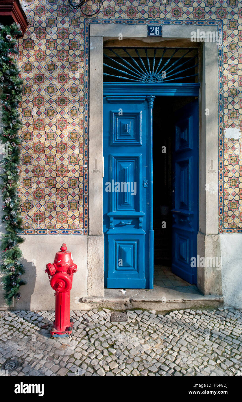 Detail leer europäischen kaukasischen Europa Kletterpflanze außerhalb Portugal reich verzierten Baustil Bau blau Stockfoto