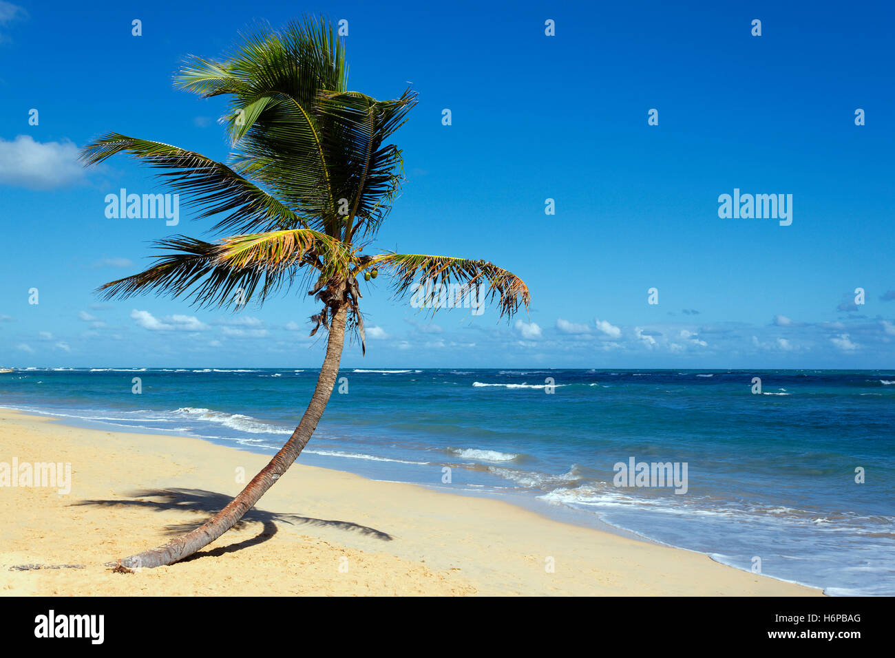 Urlaub Urlaub Urlaub Urlaub Himmel Paradies Strand Meer den Strand Meer Traum Insel Palm Dominikanische Salzwasser See Stockfoto