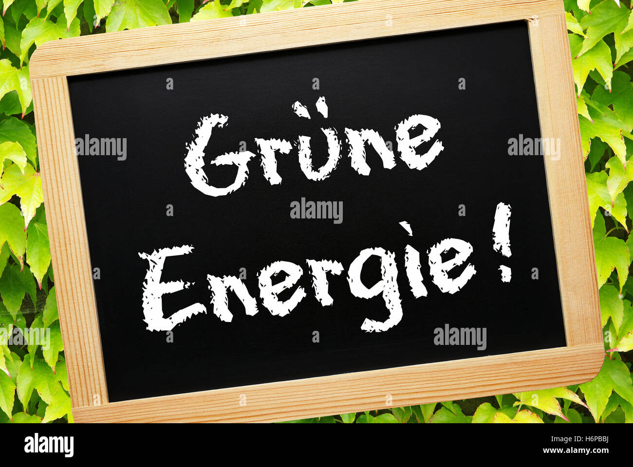 grüne Energie! -Eco-Power-Konzept Stockfoto