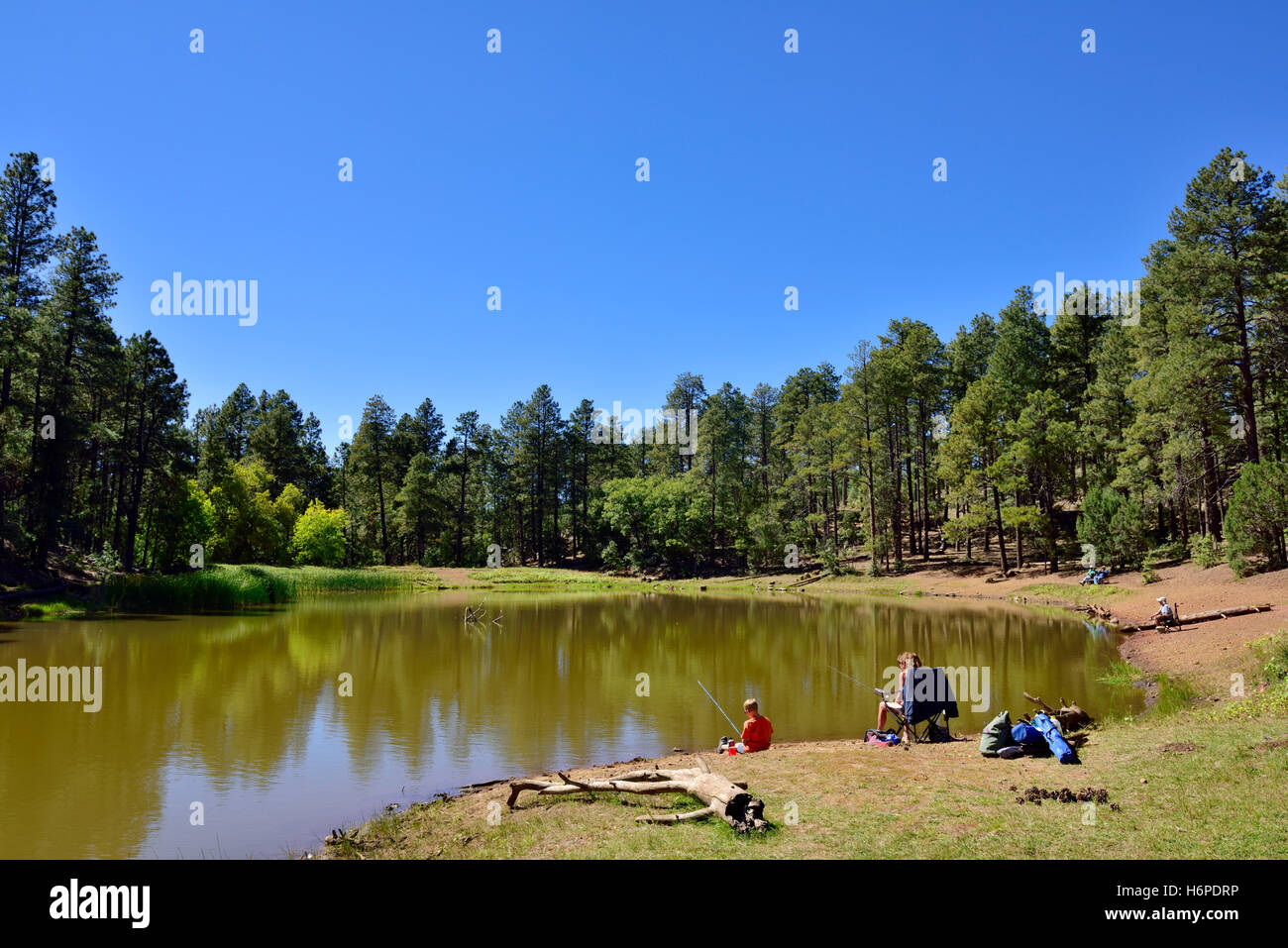 Angeln im See Arizona Mingus Mountain Recreation area Stockfoto