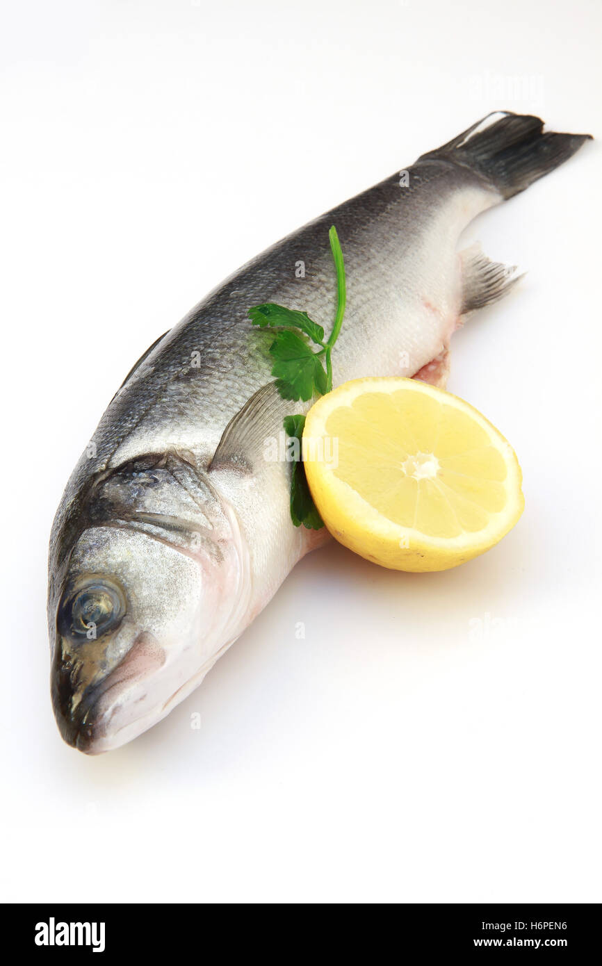 süße blau Fisch Fantasie Tauchgang Tomaten Tomaten tropischen Sardinen Makrele Knoblauch Topf Sammlung Petersilie Ofen Topf Stockfoto