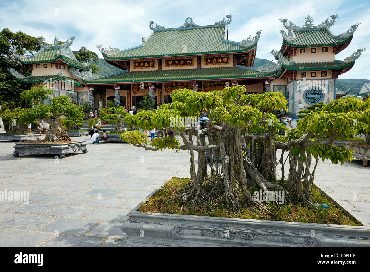 Bonsai-Garten in Linh Ung Pagode, Da Nang, Vietnam. Stockfoto