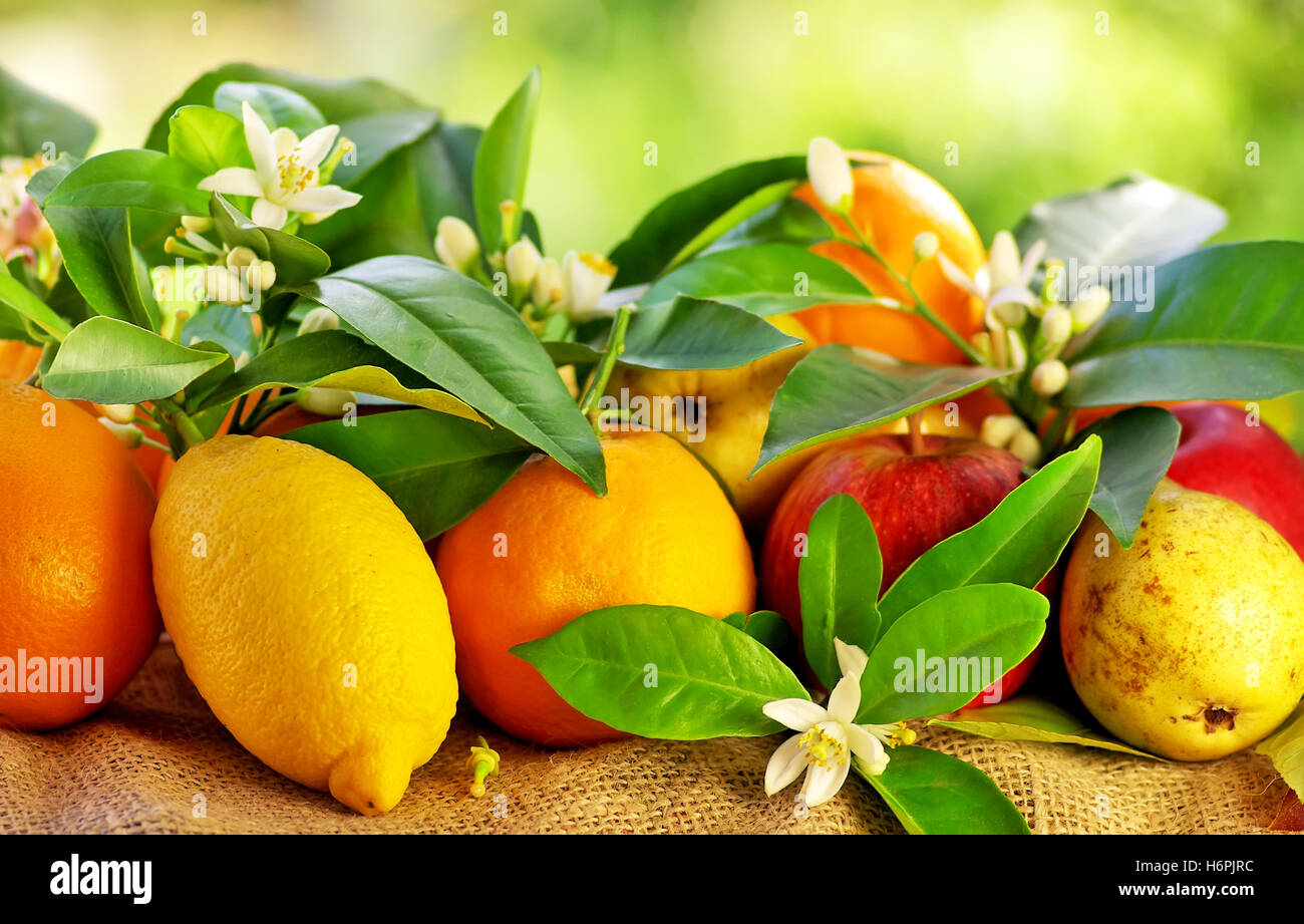 Obst und Gemüse Stockfoto