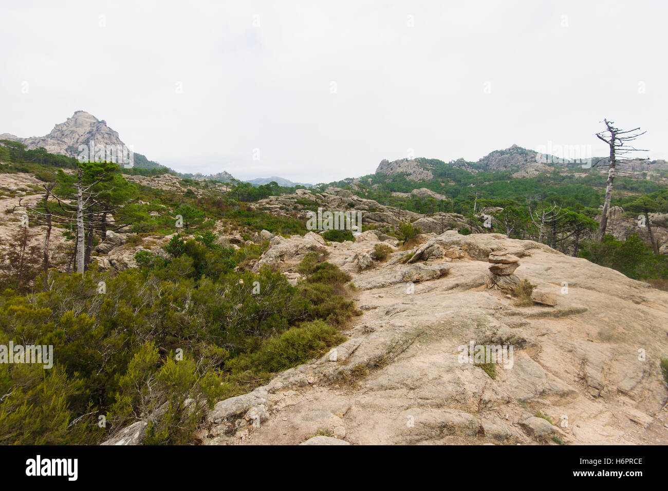 Korsische Natur und Blick auf die Berge. Am Wegesrand Cascade de Piscia di Ghjaddu. Corse-du-Sud, Korsika, Frankreich Stockfoto