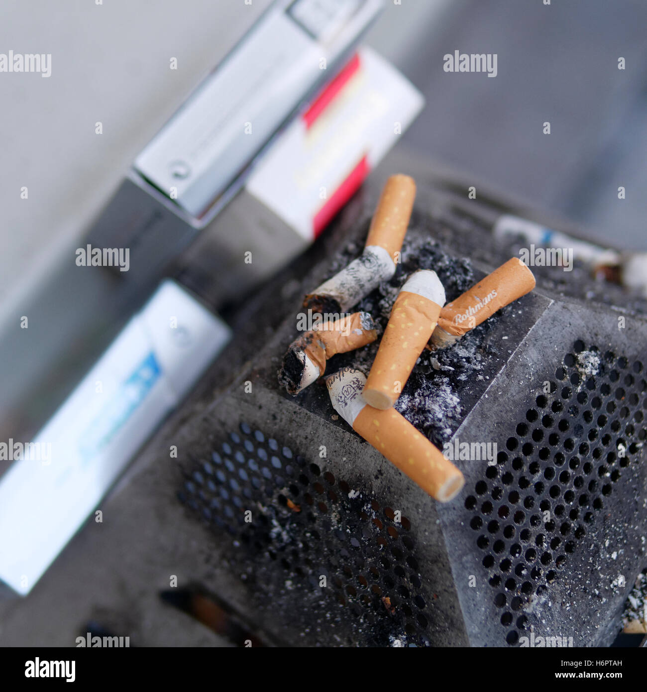 Zigarettenstummel im Aschenbecher Stockfoto