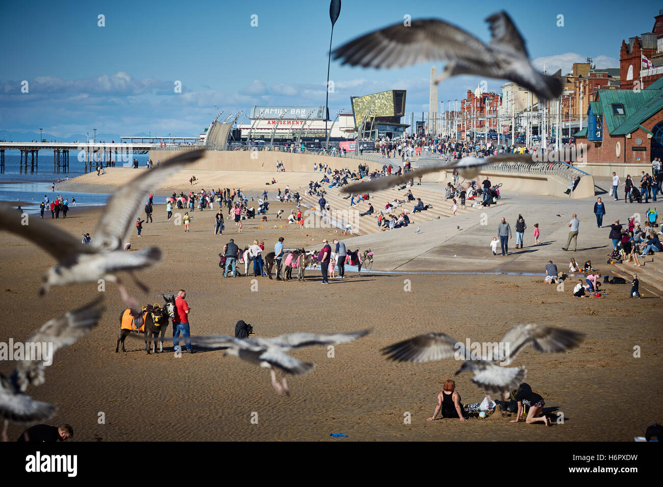 Blackpool beschäftigt überfüllten Strand Möwen Möwen Holiday Resort Lancashire touristischen Attraktionen Meer Attraktion Touristen trave Stockfoto