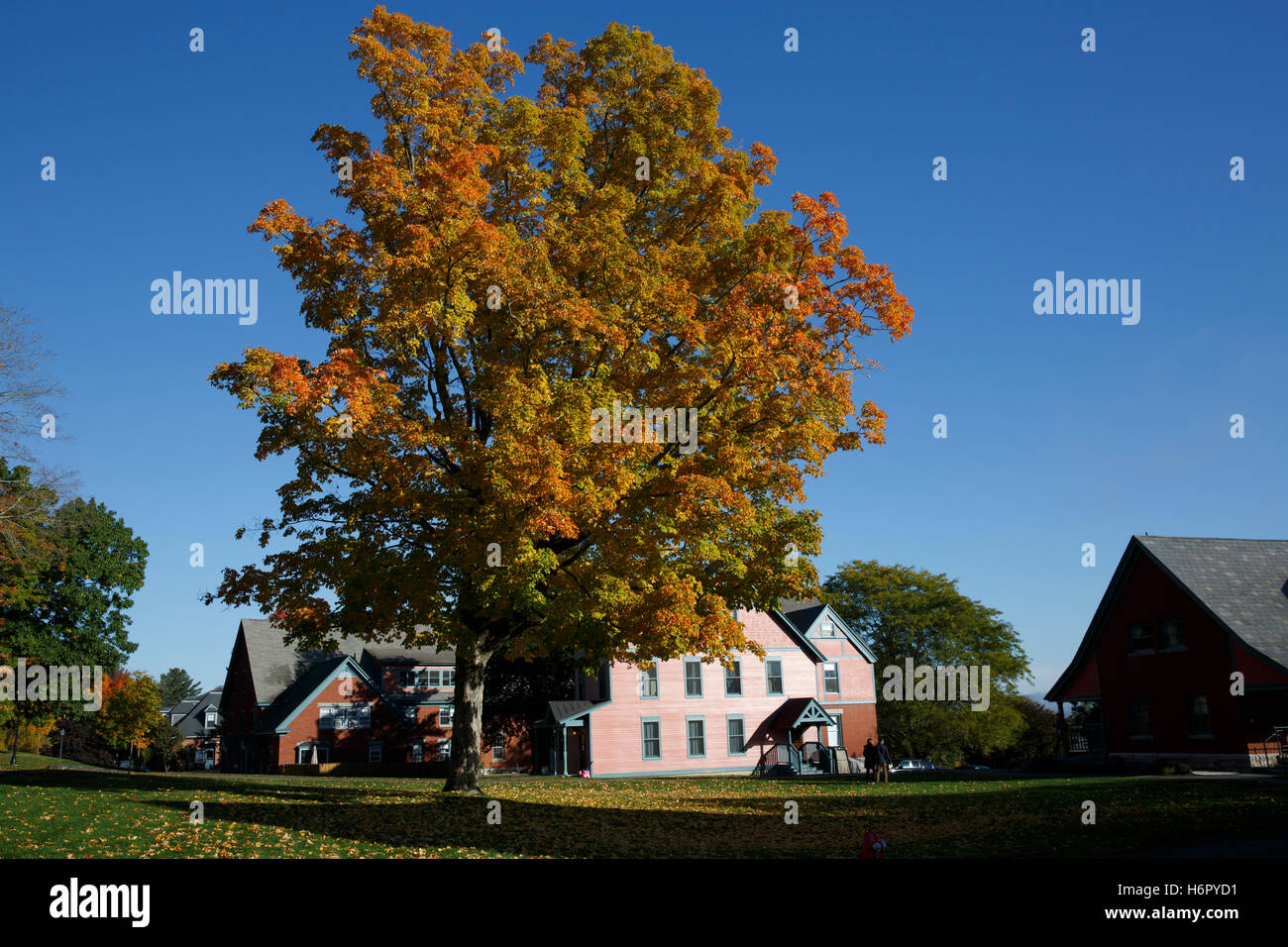 Northfield Mount Hermon School Campus Stockfoto