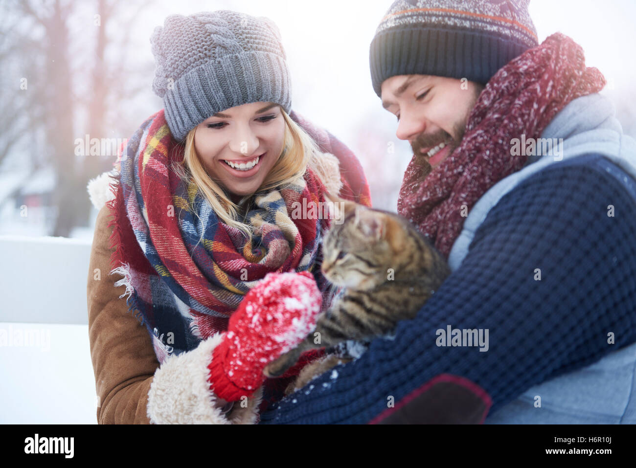 Auch Katzen lieben Winterzeit Stockfoto