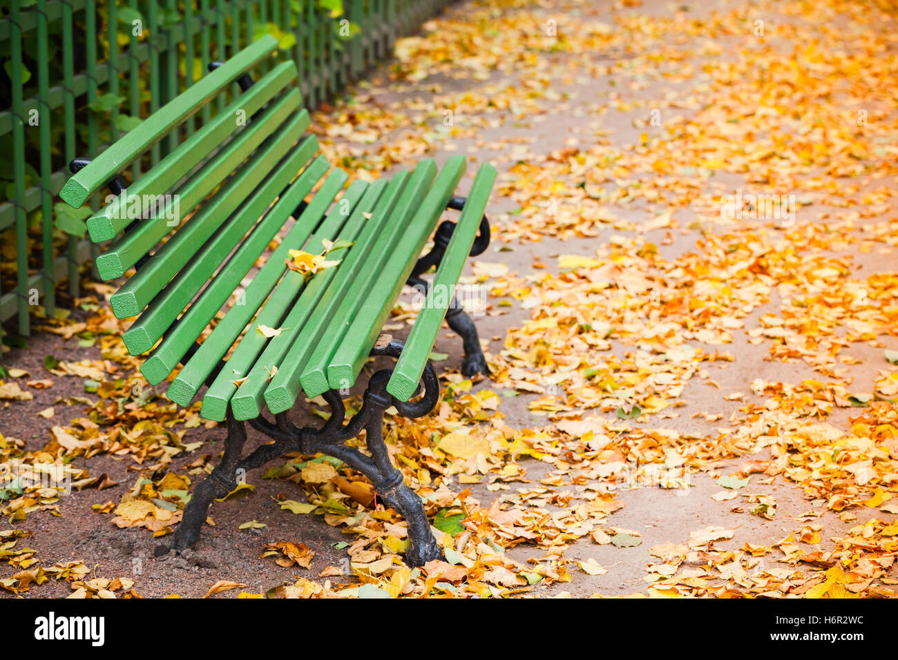 Leere grüne Holzbank steht zu Fuß unterwegs von herbstlichen Park mit gelbem Laub Stockfoto