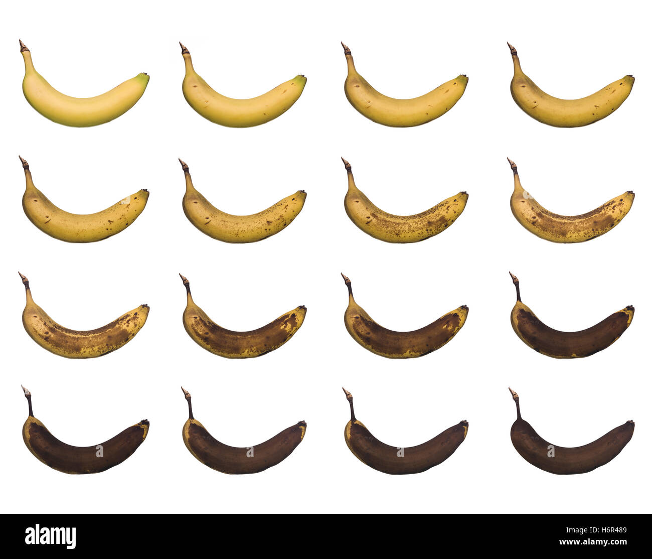 Obst und Gemüse Stockfoto