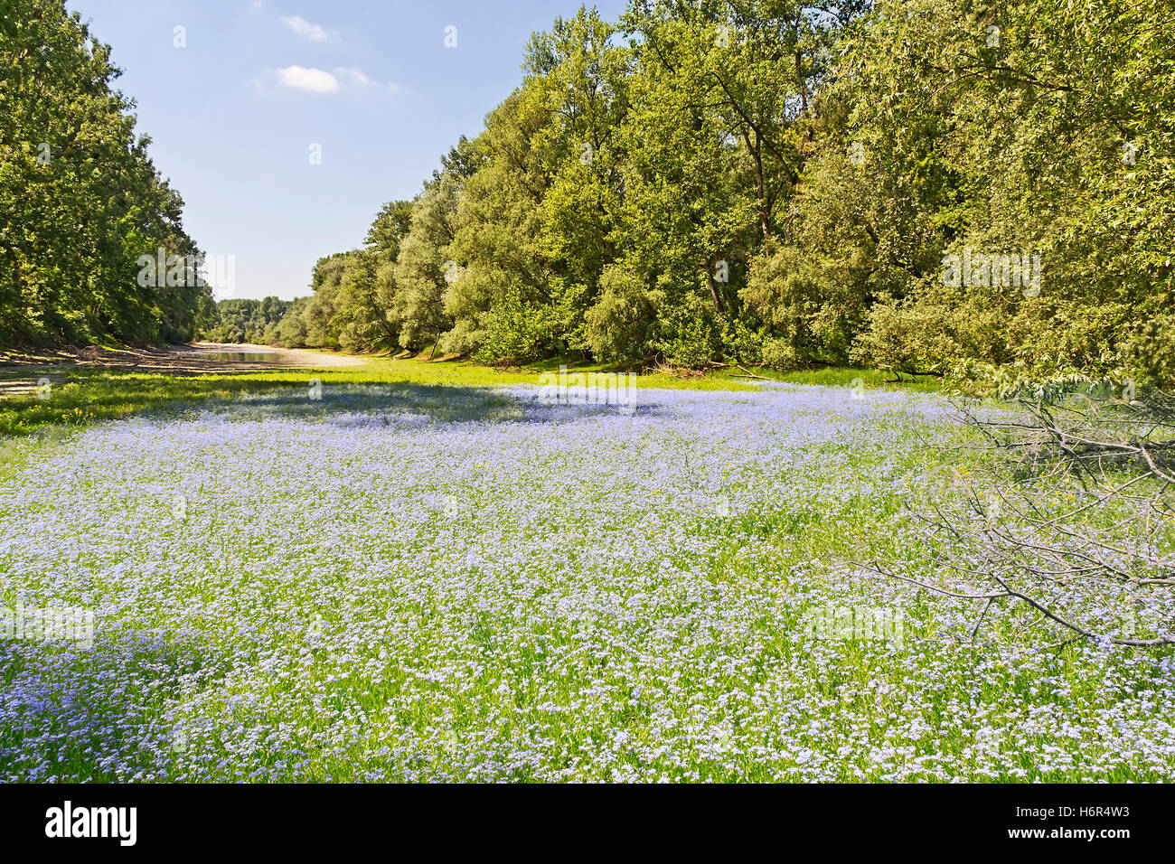 Landschaften Stockfoto