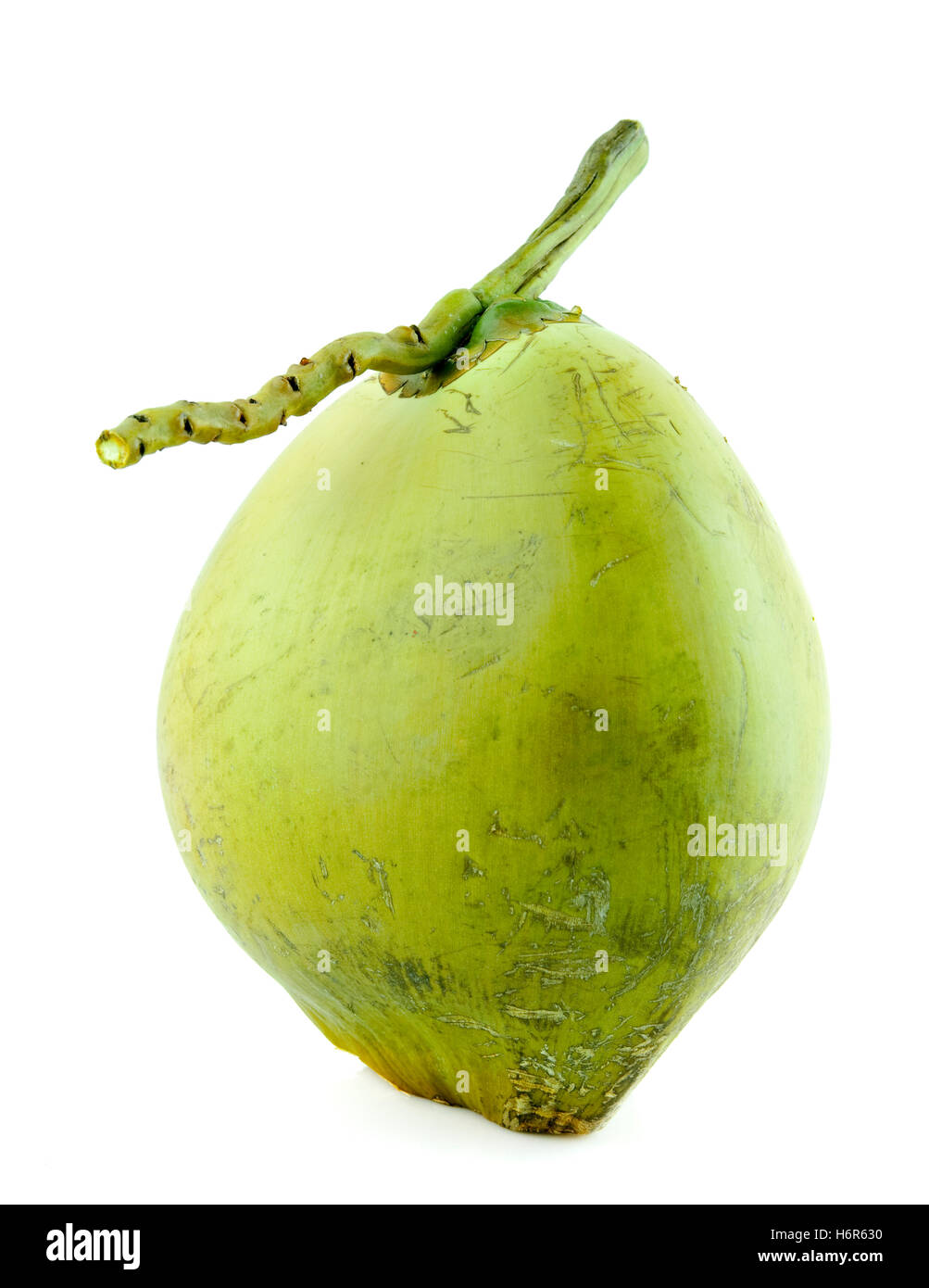 in der Nähe essen Nahrungsmittel Objekt einzelne Gesundheitsdrink Lätzchen süßes isolierte Farbe Closeup Raum grünen Sommer sommerlich Schale trinken Stockfoto