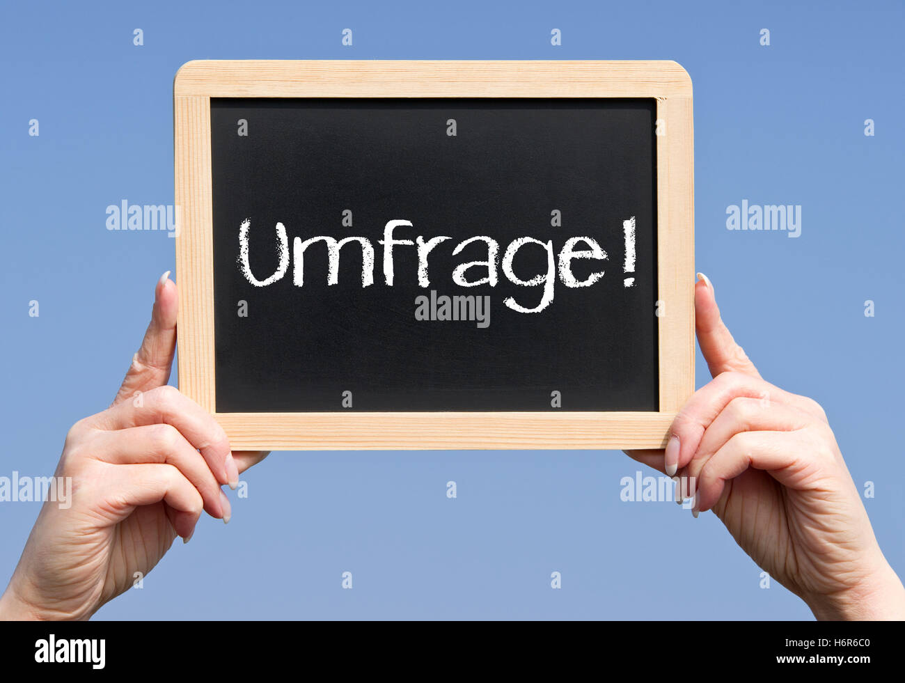 Umfrage! Stockfoto