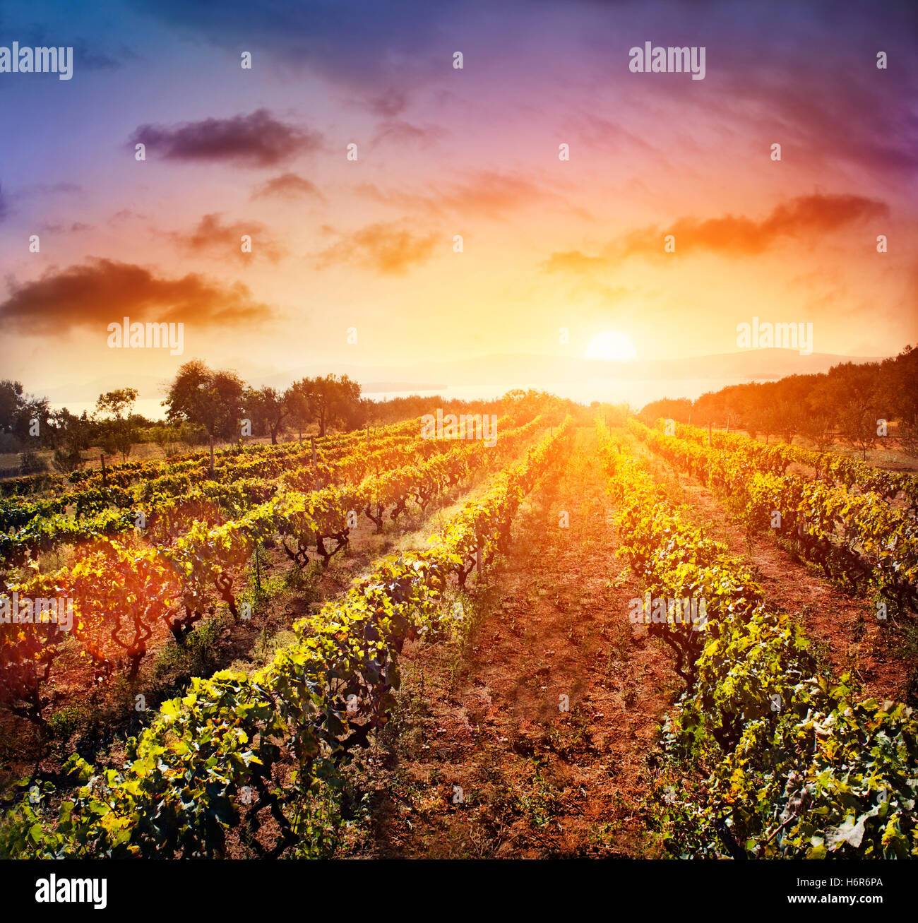 Landwirtschaft Landwirtschaft Landwirtschaft Land Europas Wolken Landschaft Landschaft Natur Schönheit Herbst Herbst Reisen landwirtschaftliche Baum Stockfoto