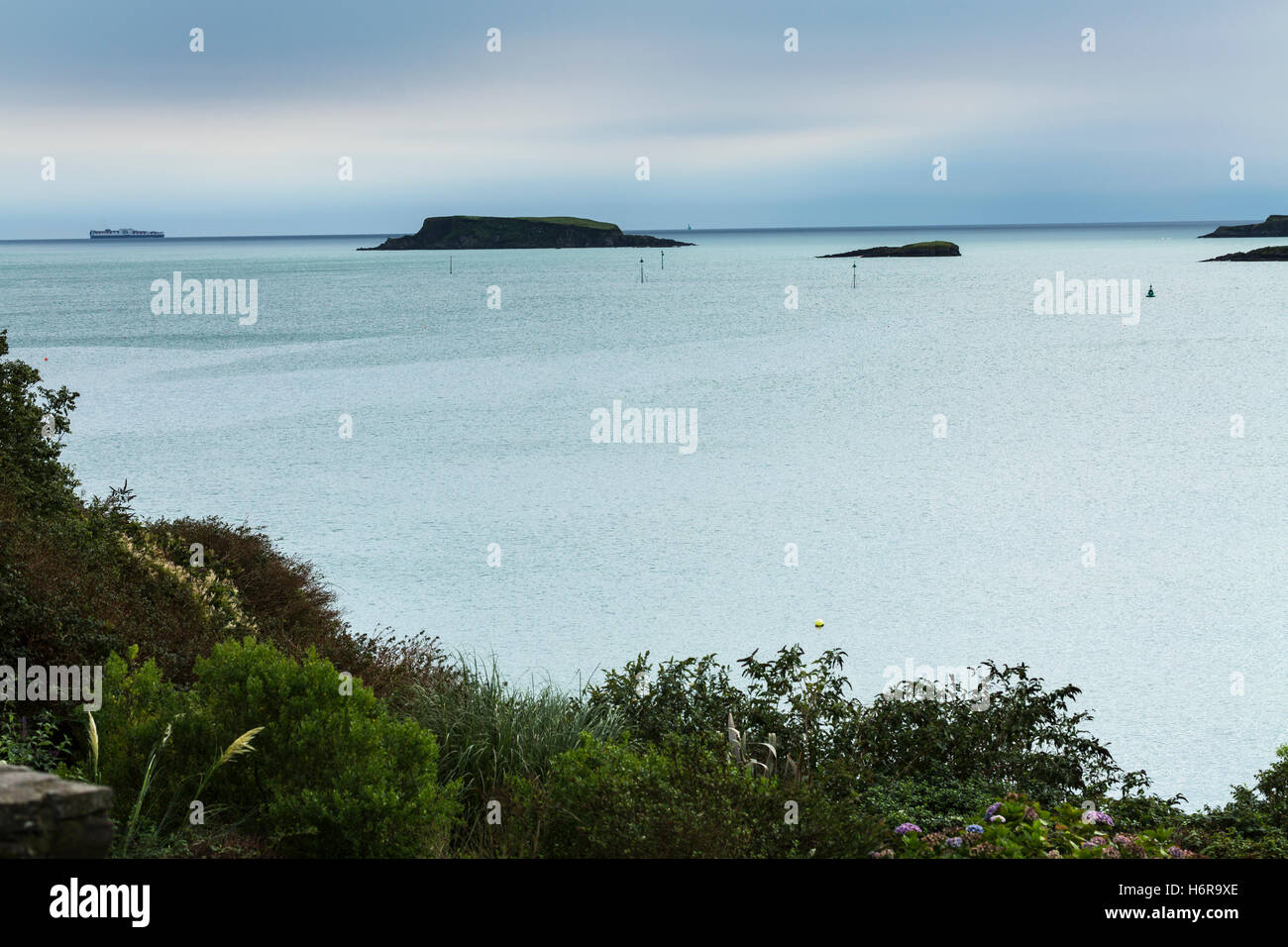 Blick auf den Atlantischen Ozean über Glandore Hafen, County Cork, Irland. Stockfoto