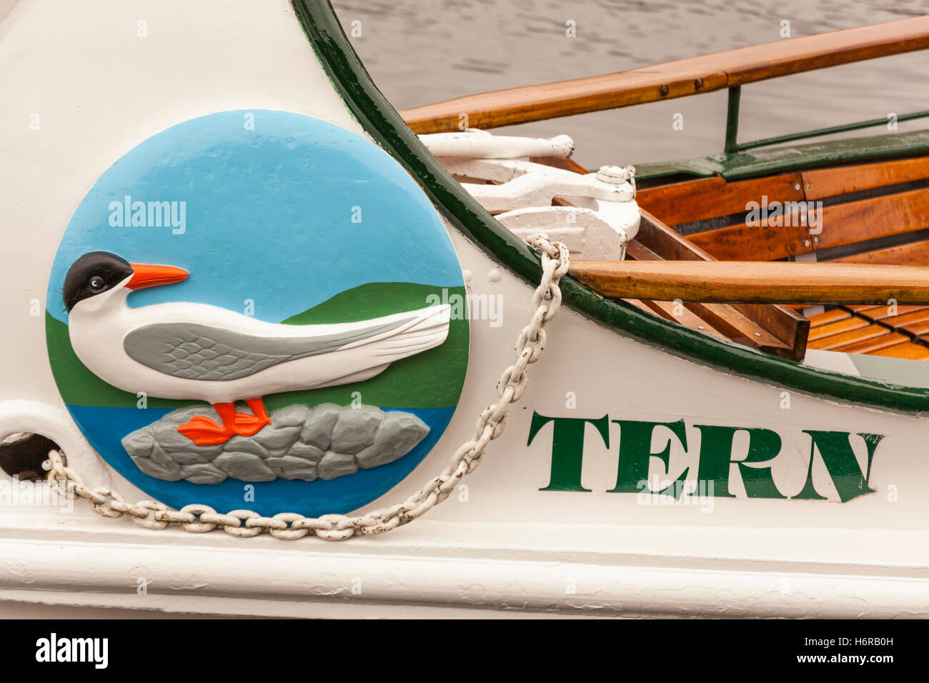 Bogen der Tern Kreuzfahrt starten, Lake Windermere, Lake District, Cumbria, England Stockfoto