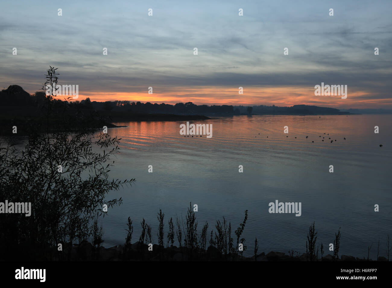 Normantan, UK. 31. Oktober 2016. UK-Wetter: helle Herbst Sonnenuntergang über Rutland Water. Sonniges Wetter folgte einen typisch nebligen Start in den Tag Credit: WansfordPhoto/Alamy Live News Stockfoto