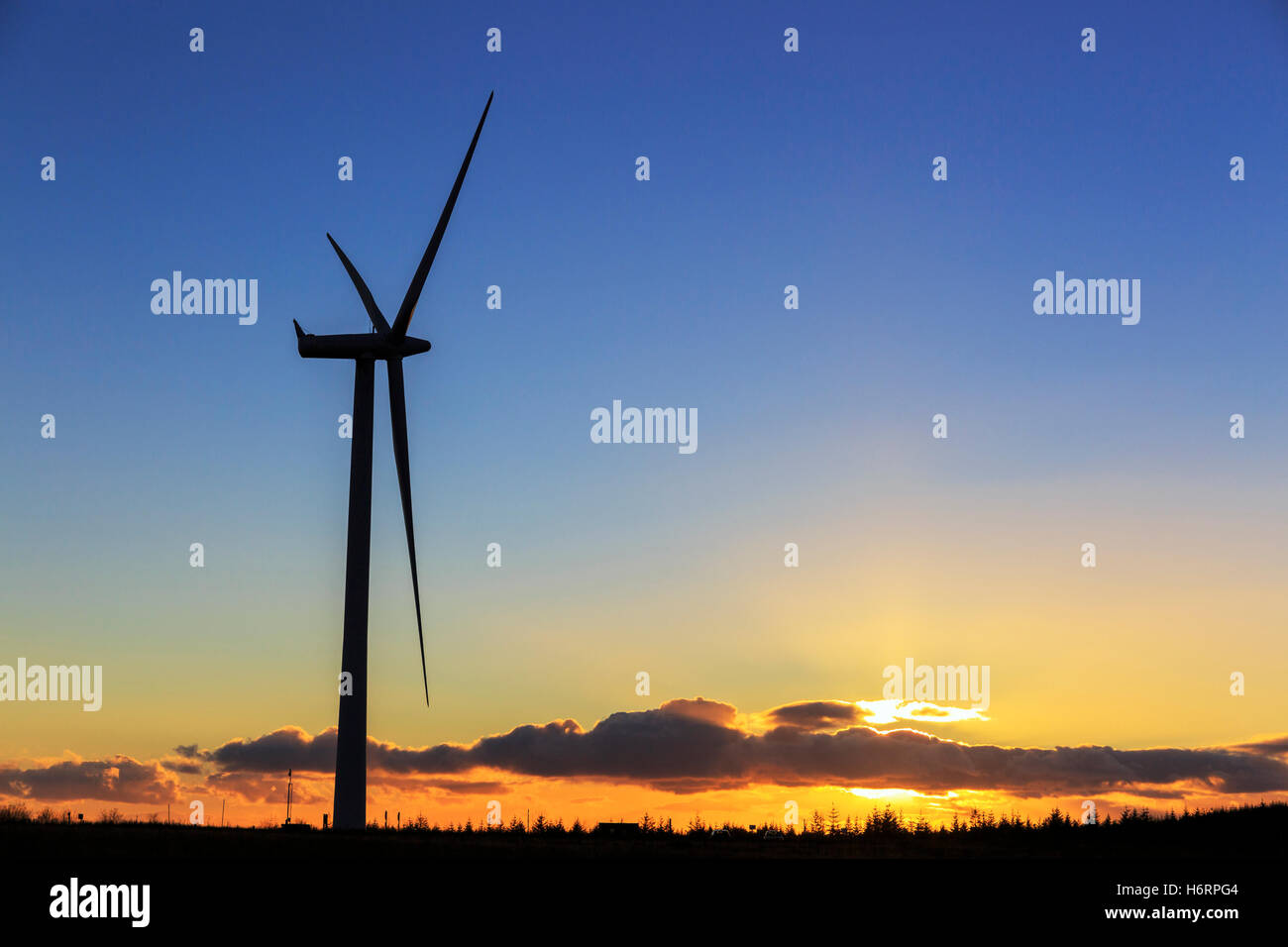 Glasgow, Schottland. 1. November 2016. Am Ende von einem knackigen Novembertag bietet der klare Himmel über Whitelee Windfarm, Großbritanniens größte Onshore-Windpark, befindet sich am Eaglesham Moor, am Stadtrand von Glasgow einen spektakulären Sonnenuntergang. Bildnachweis: Findlay/Alamy Live-Nachrichten Stockfoto
