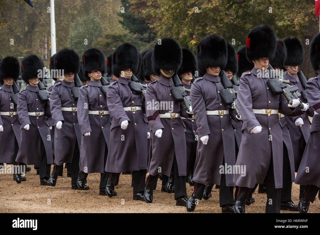 London, UK. 1. November 2016. 1st Battalion Coldstream Guards nehmen Bildung als Bestandteil der Guard of Honour in Horse Guards Parade bereit, dem Präsidenten von Kolumbien am ersten Tag seines Staatsbesuchs Kredit zu begrüßen: Guy Corbishley/Alamy Live News Stockfoto