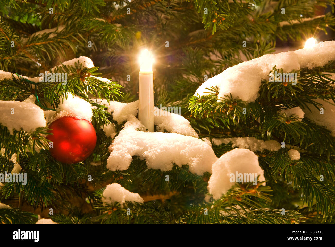 Nacht nächtliche Lichter Silber elektrische Tanne Kerzen Weihnachten  Christmas tree Christmas Ball Kugelkette Weihnachtsbaum Lichter  Stockfotografie - Alamy