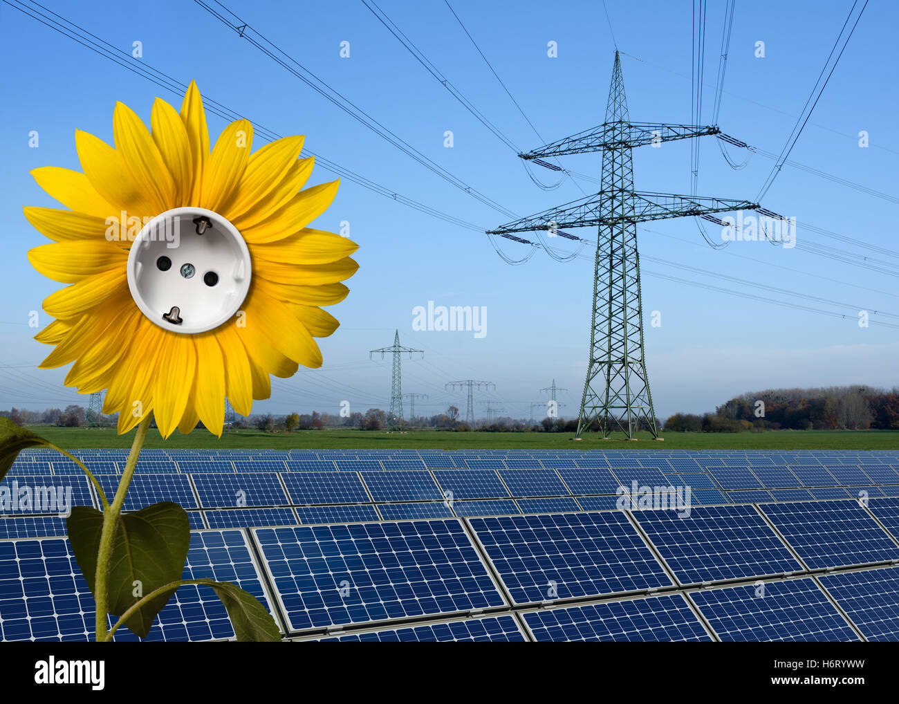 Energie macht Strom Strom Blume Sonnenblumen Pflanze Steckdose Steckdose Solarenergie Photovoltaik Photovoltaik blau Stockfoto