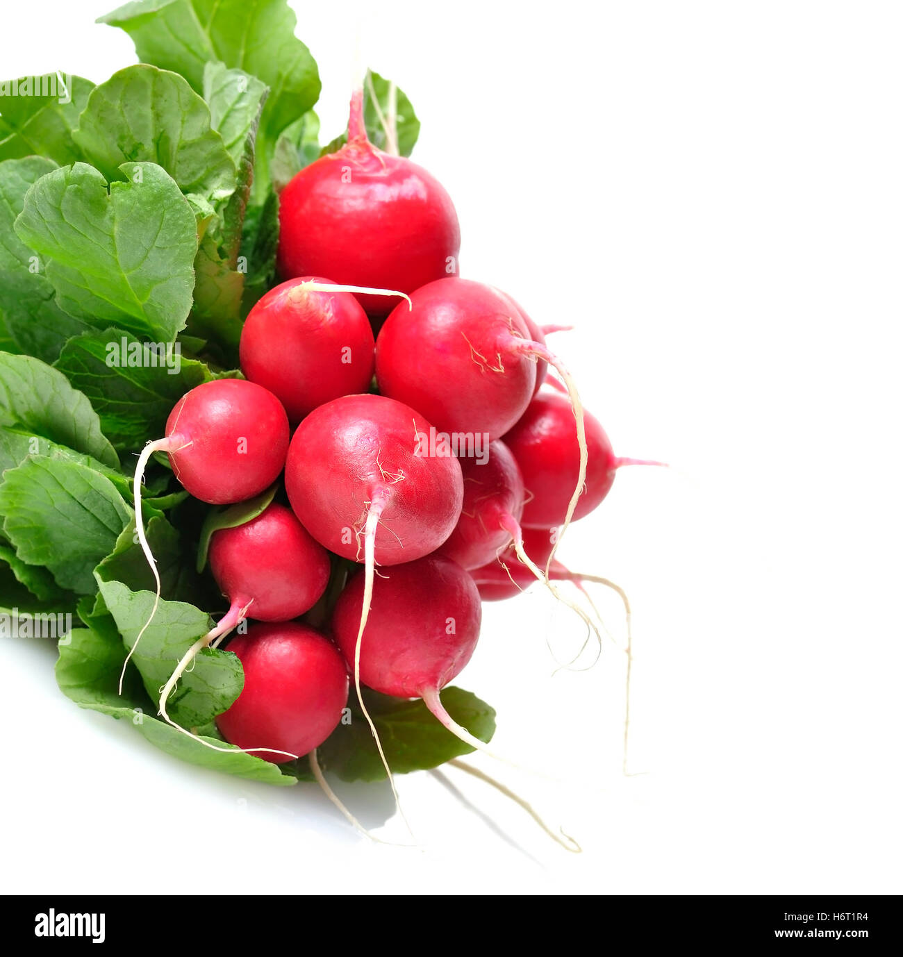 Blatt grün Gemüse Rettich produzieren rote frische fabrizieren Aliment Blatt Closeup grüne Gemüse Rettich vegetarische Lebensmittel Stockfoto